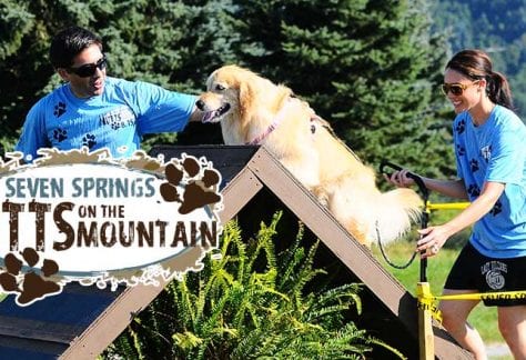 Mutts on the Mountain